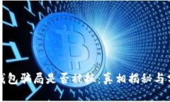 TP钱包骗局是否被抓：真相